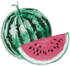soave deco summer fruit  watermelon pink green - zdarma png