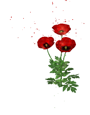 fleurs - Бесплатный анимированный гифка