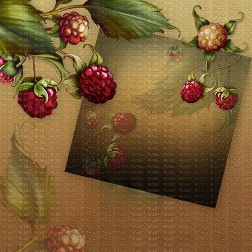 berries  background by nataliplus - png gratis