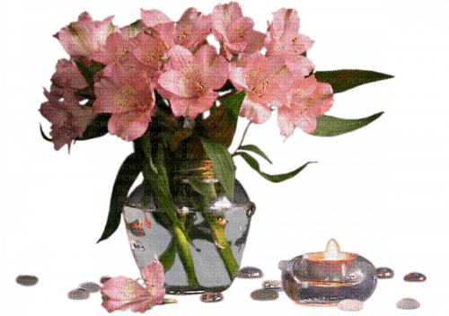 Fleurs.Flowers.Pink.Vase.Pot.Victoriabea - png ฟรี
