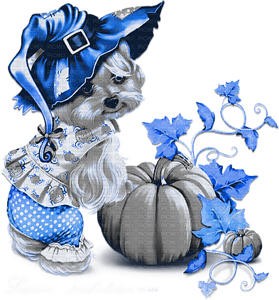 soave dog pumpkin halloween witch animals - Free PNG