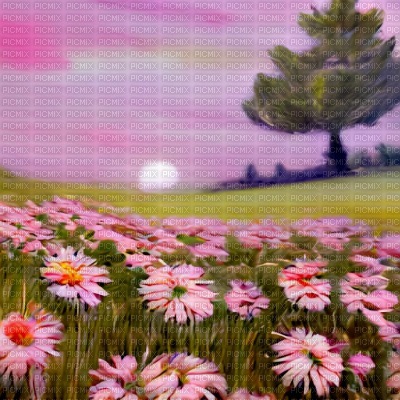 Pink Flower Field - darmowe png