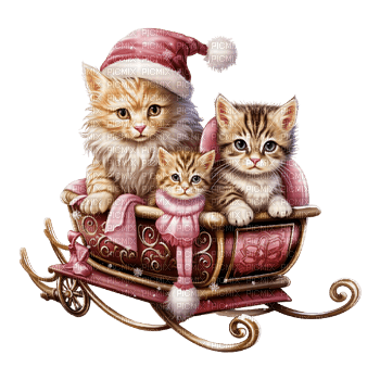 winter cats - darmowe png