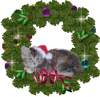 kitten wreath - Animovaný GIF zadarmo