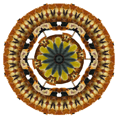 Brown/Orange Circle - 免费动画 GIF