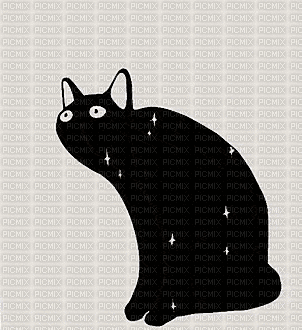 Cat - GIF animado grátis