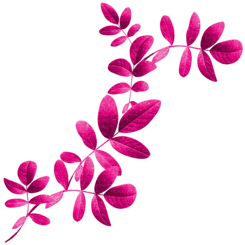 Branch.Leaves.Pink - ilmainen png