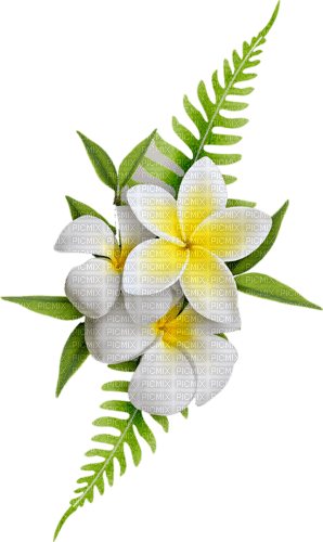 Flower Decoration - png gratis