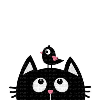 Black cat - png grátis