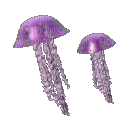 meduse - Gratis animeret GIF