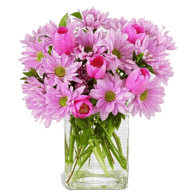 Kaz_Creations Flowers-Fleurs-Vase - png gratuito