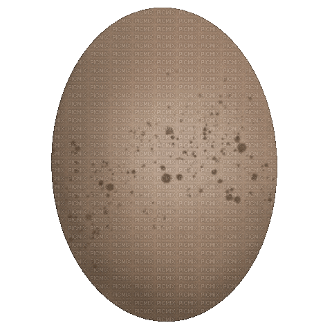 Egg - 免费动画 GIF
