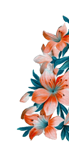 flowers gif milla1959 - Δωρεάν κινούμενο GIF