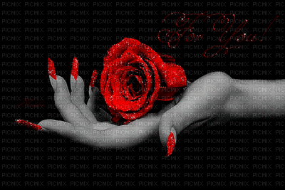 laurachan  hand rose - 免费动画 GIF