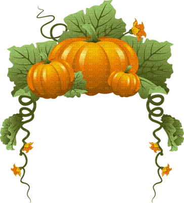 Pumpkin Boarder - PNG gratuit