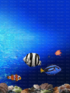 gif oceano pescados - GIF animado grátis