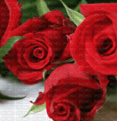 RED ROSES - GIF animado gratis