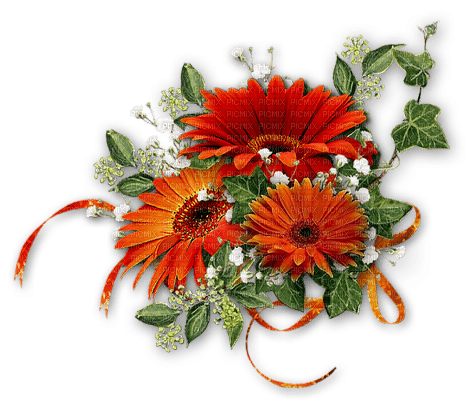 blommor-flowers - png gratuito