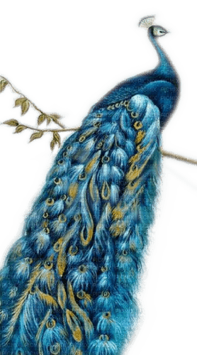 Rena blue Bird Vogel Pfau Peacock - ücretsiz png