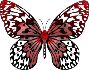 Schmetterling - 無料png