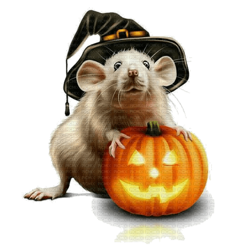 Halloween - PNG gratuit