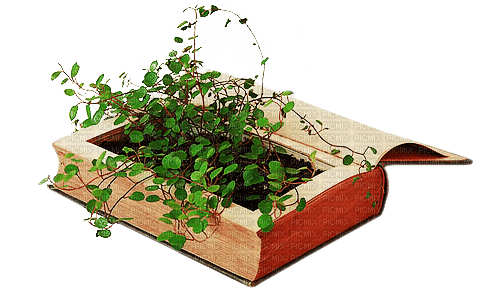 Book of plants - gratis png