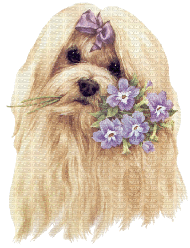 dolceluna dog purple flowers - GIF animado gratis