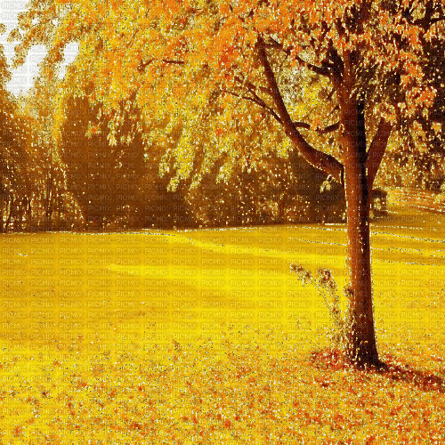 autumn background - Δωρεάν κινούμενο GIF