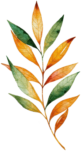watercolor leaves Bb2 - ingyenes png