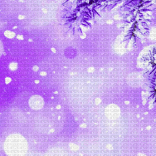 ME   / BG/animated.winter.tree.snow.purple.idca - Animovaný GIF zadarmo