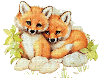 animals / foxes_BLUE DREAM Mary - Nemokamas animacinis gif