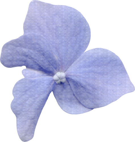 dolceluna deco flower spring - PNG gratuit