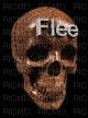flee - Darmowy animowany GIF