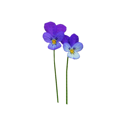 kikkapink deco scrap purple flowers - darmowe png