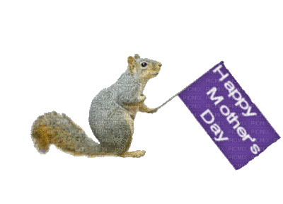 Mother's Day Squirrel - GIF animasi gratis