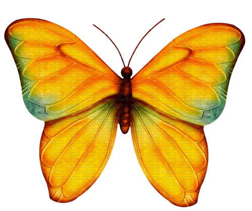 autumn deco kikkapink png butterfly fantasy - 免费PNG