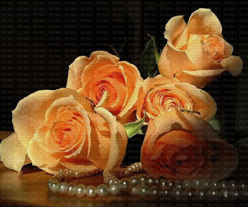 MMarcia gif rosas vintage fond fundo - Free animated GIF