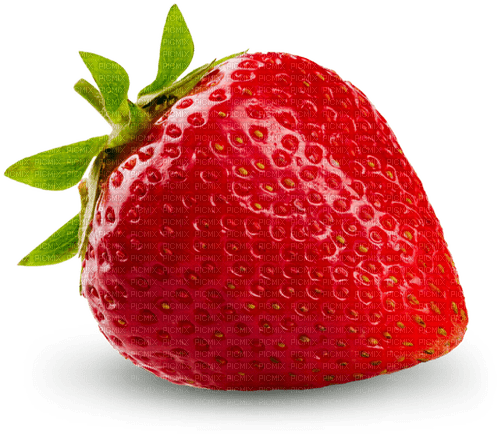 Fraise - 免费PNG