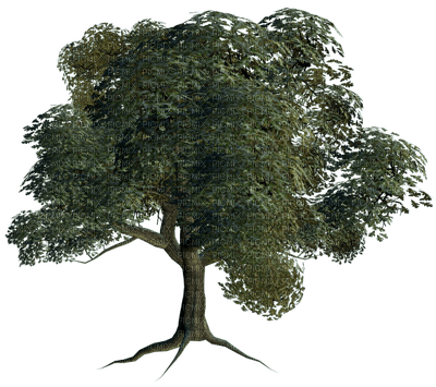 Kaz_Creations Deco Trees Tree Green - 免费PNG