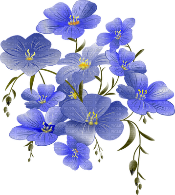 kukka fleur flower - darmowe png