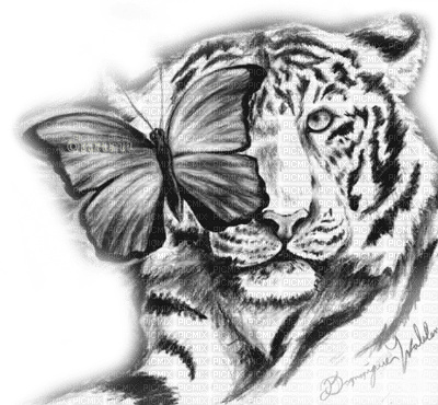 Y.A.M._Art tiger animals black-white - PNG gratuit