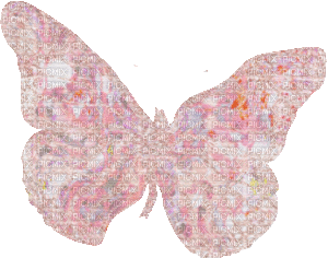 butterfly (created with gimp) - 免费动画 GIF