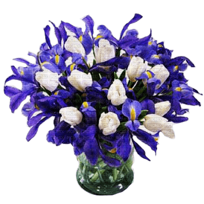 Kaz_Creations Deco Flowers Vase - PNG gratuit