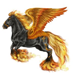 flame peguaus - kostenlos png