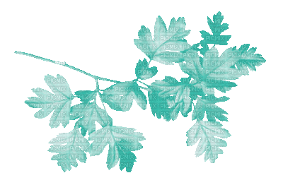 soave deco branch leaves animated autumn teal - Free animated GIF