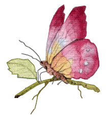 Papillon - 無料png