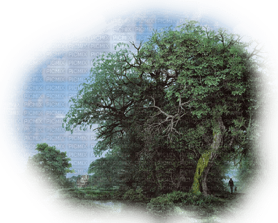 arbres/trees - zadarmo png