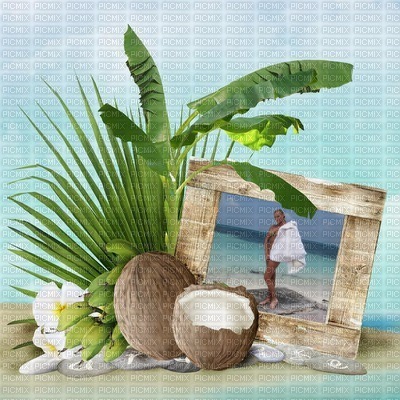 summer background - PNG gratuit