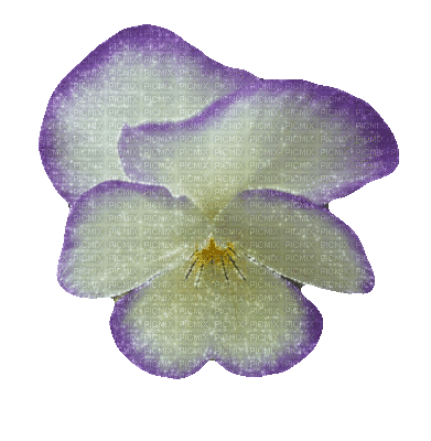 violette.Cheyenne63 - 無料のアニメーション GIF
