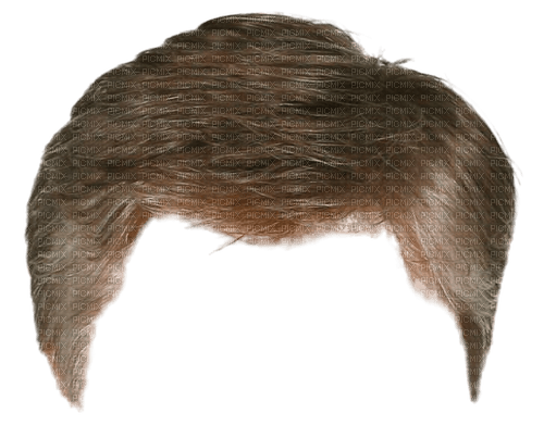 cheveux homme - Free PNG